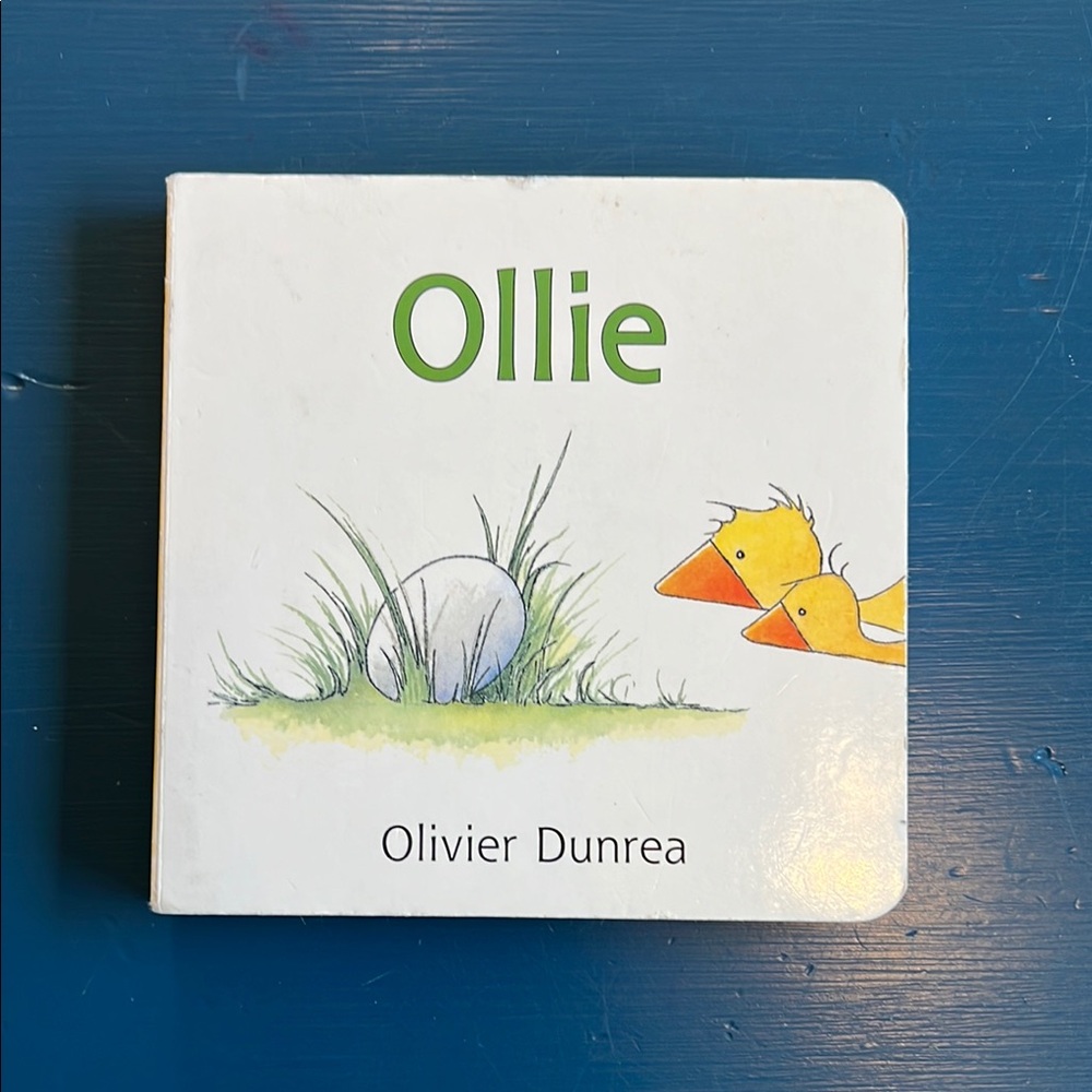 Ollie Children's Book with Ducks Illustration
